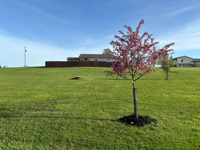 6075 Township Road 107, Mount Gilead, OH 43338 Photo 59