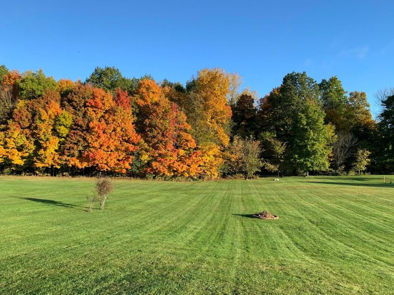 6075 Township Road 107, Mount Gilead, OH 43338 Photo 72