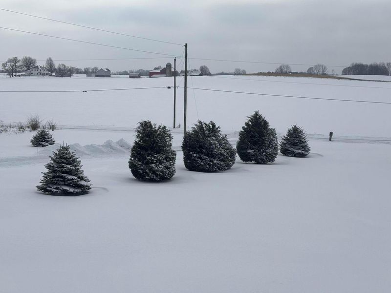 6075 Township Road 107, Mount Gilead, OH 43338 Photo 76