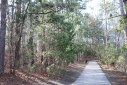 0 Woodcross Drive  photo 4