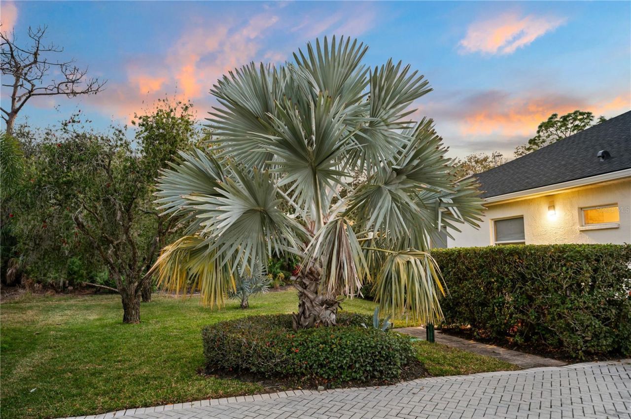 10147 Cherry Hills Avenue Circle, Bradenton, FL 34202 Photo