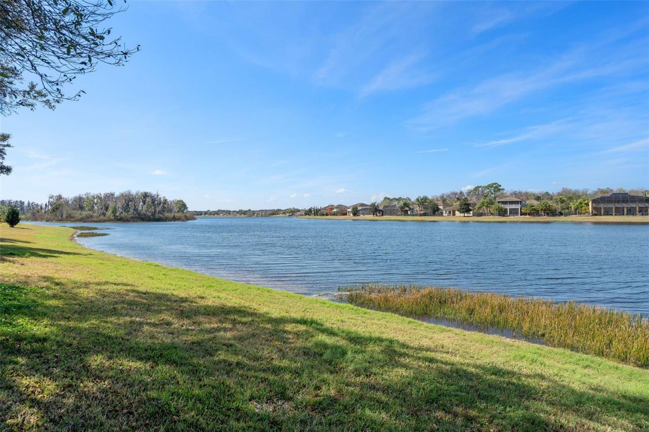 8798 Warwick Shore Crossing, Orlando, FL 32829 Photo