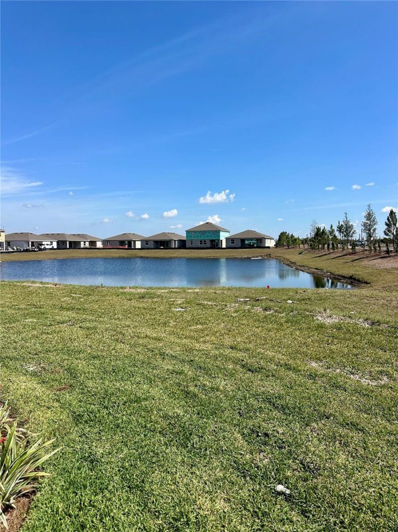 17807 Cane Patch Court, Parrish, FL 34219 Photo