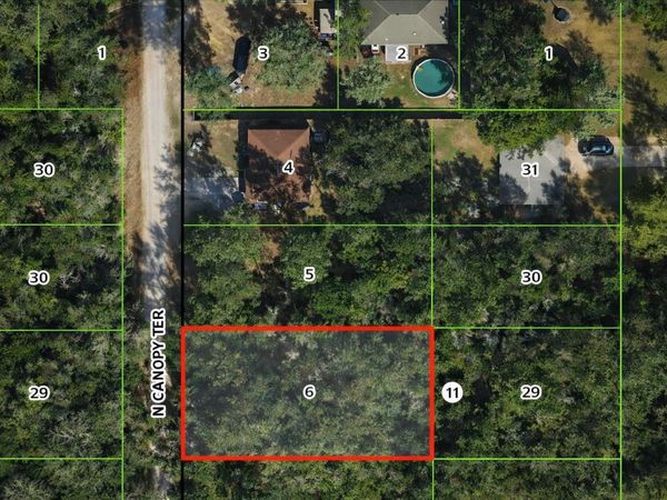 6619 N CANOPY TERRACE, HERNANDO, FL 34442
