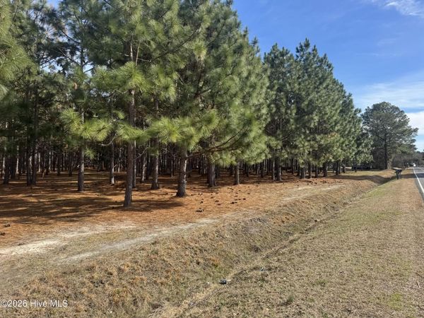 0 Butler Mill Road Road, Bladenboro, NC 28320