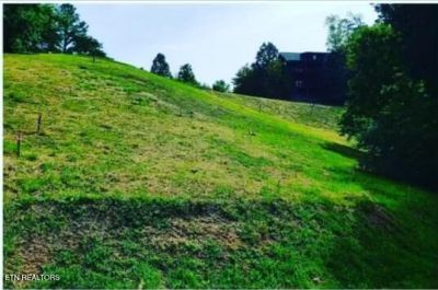 1624 Mountain Lodge Way, Pigeon Forge, TN 37862 Main Photo