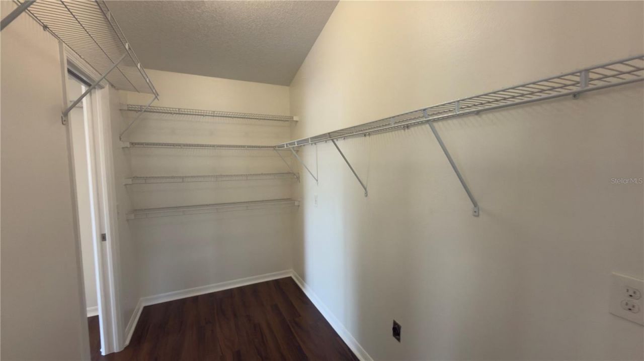 8140 Pimlico Place, Wesley Chapel, FL 33544 Photo