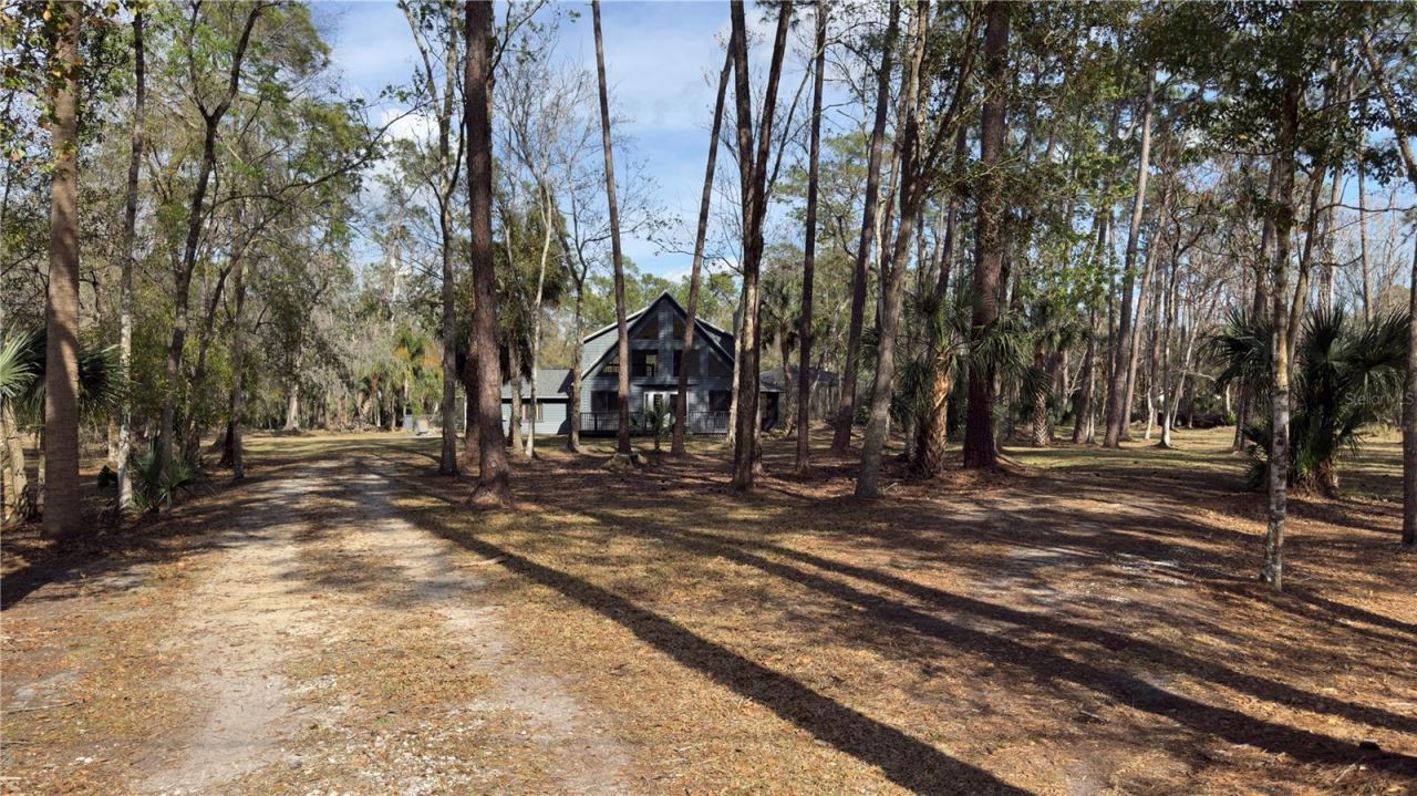 8140 Pimlico Place, Wesley Chapel, FL 33544 Photo