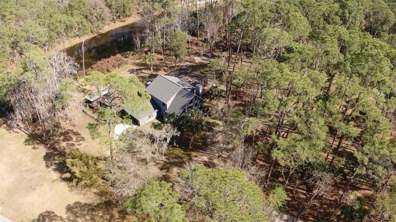 8140 Pimlico Place, Wesley Chapel, FL 33544 Photo