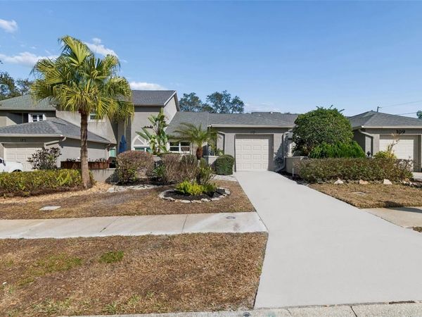 115 STEEPLECHASE LANE, PALM HARBOR, FL 34684
