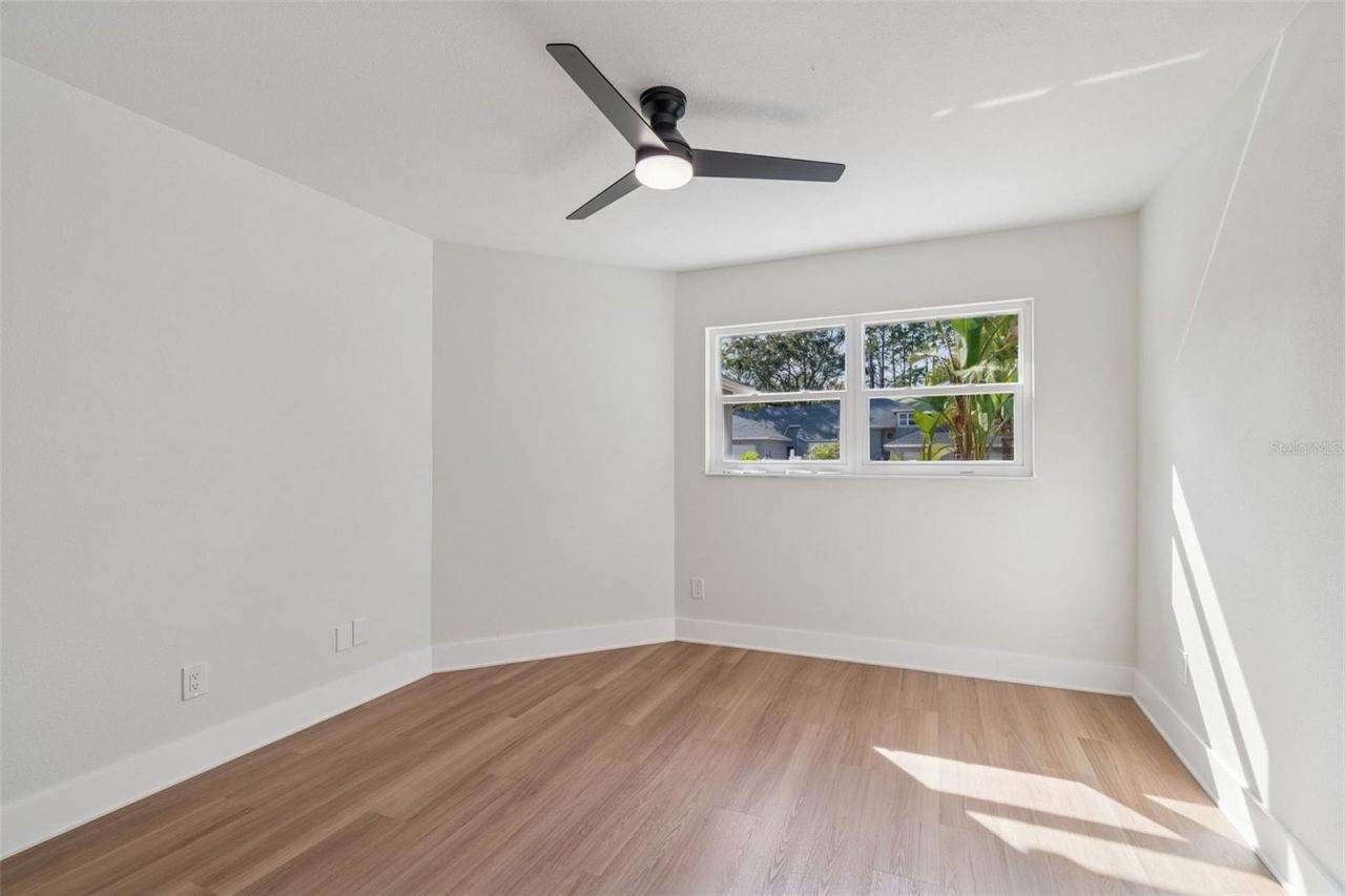 115 Steeplechase Lane, Palm Harbor, FL 34684 Photo
