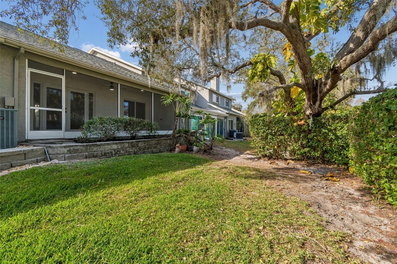 115 Steeplechase Lane, Palm Harbor, FL 34684 Photo