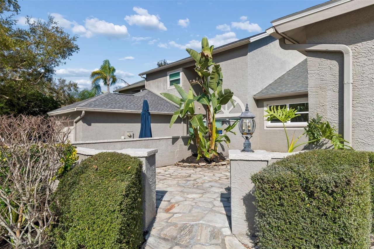 115 Steeplechase Lane, Palm Harbor, FL 34684 Photo