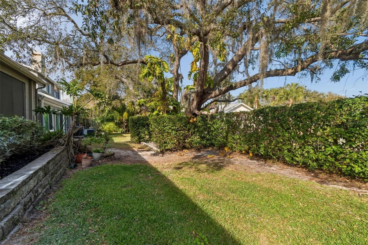 115 Steeplechase Lane, Palm Harbor, FL 34684 Photo