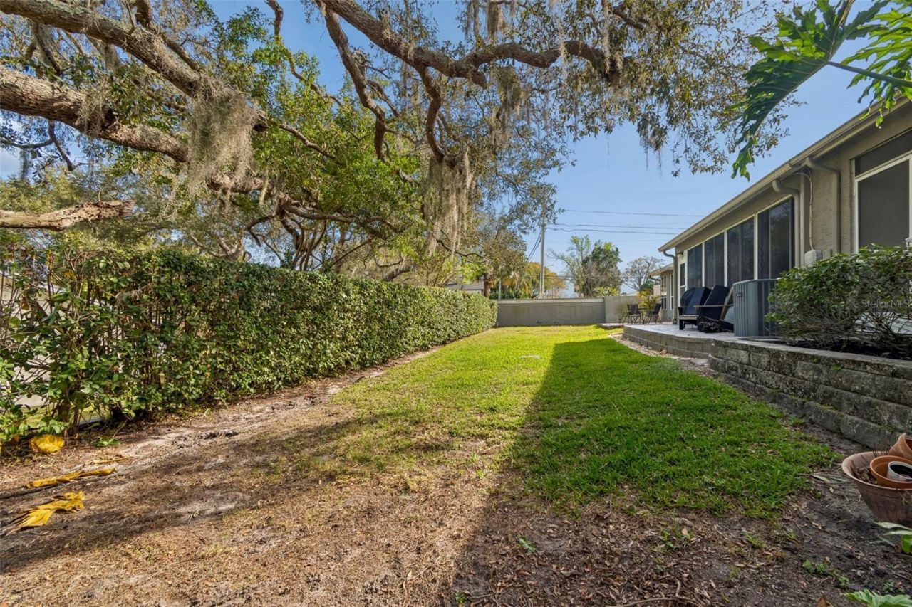 115 Steeplechase Lane, Palm Harbor, FL 34684 Photo