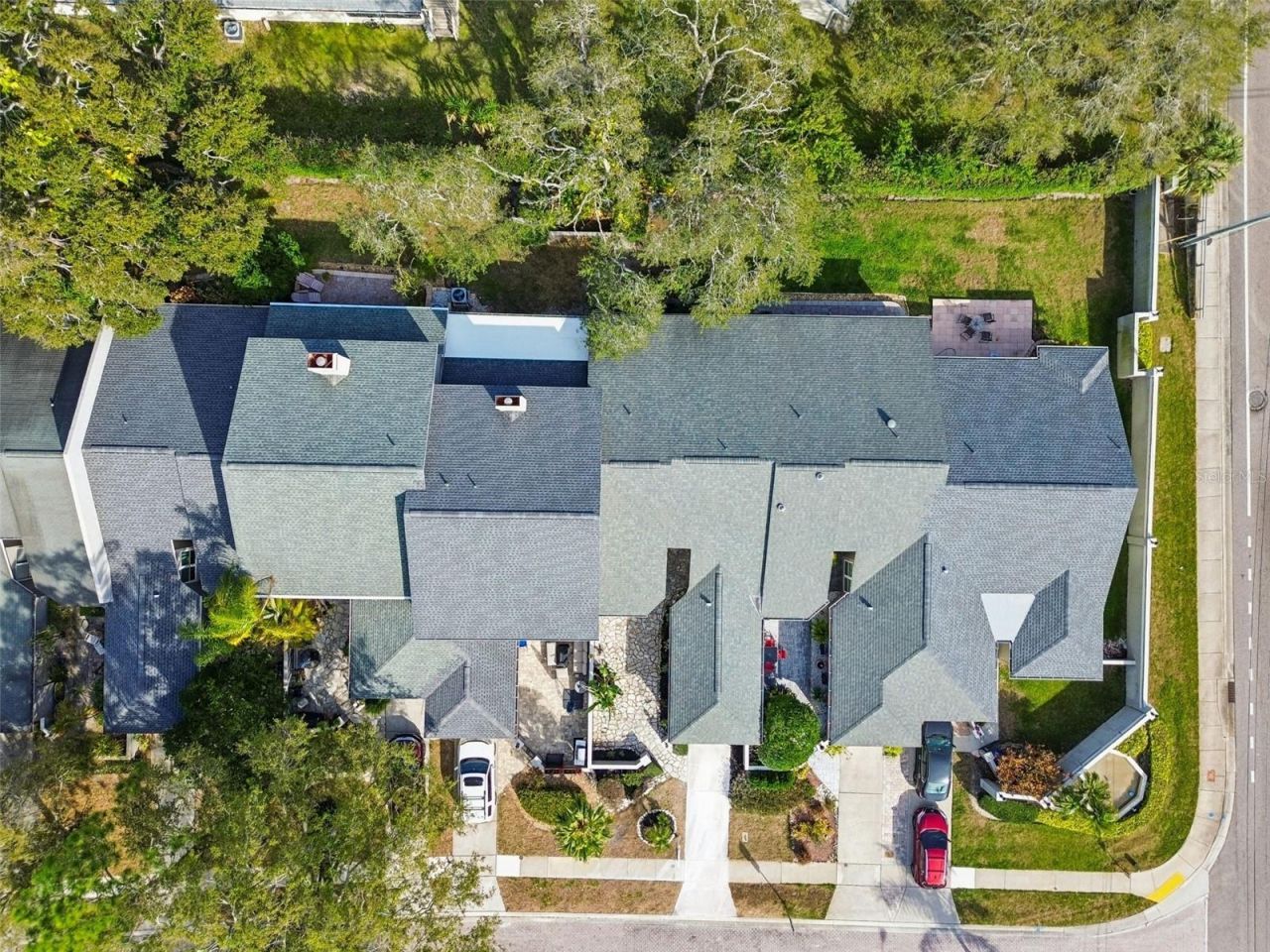 115 Steeplechase Lane, Palm Harbor, FL 34684 Photo