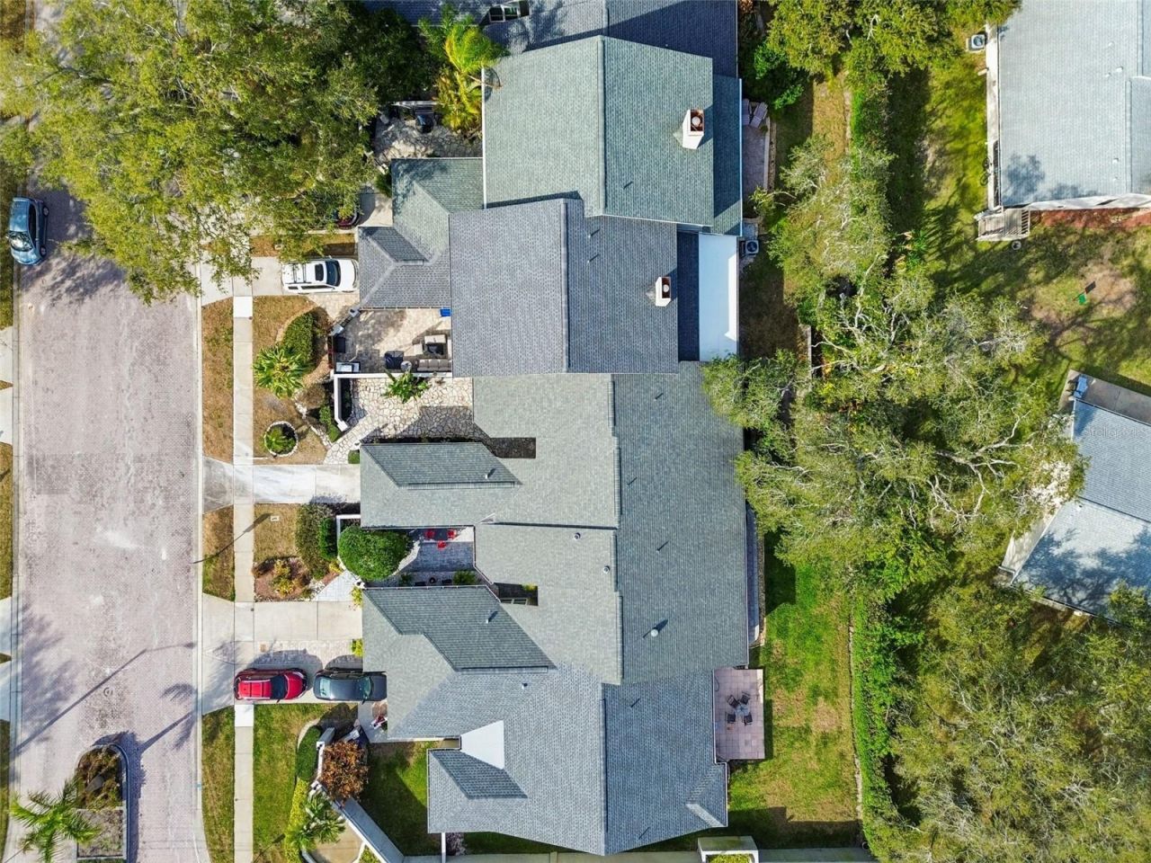 115 Steeplechase Lane, Palm Harbor, FL 34684 Photo
