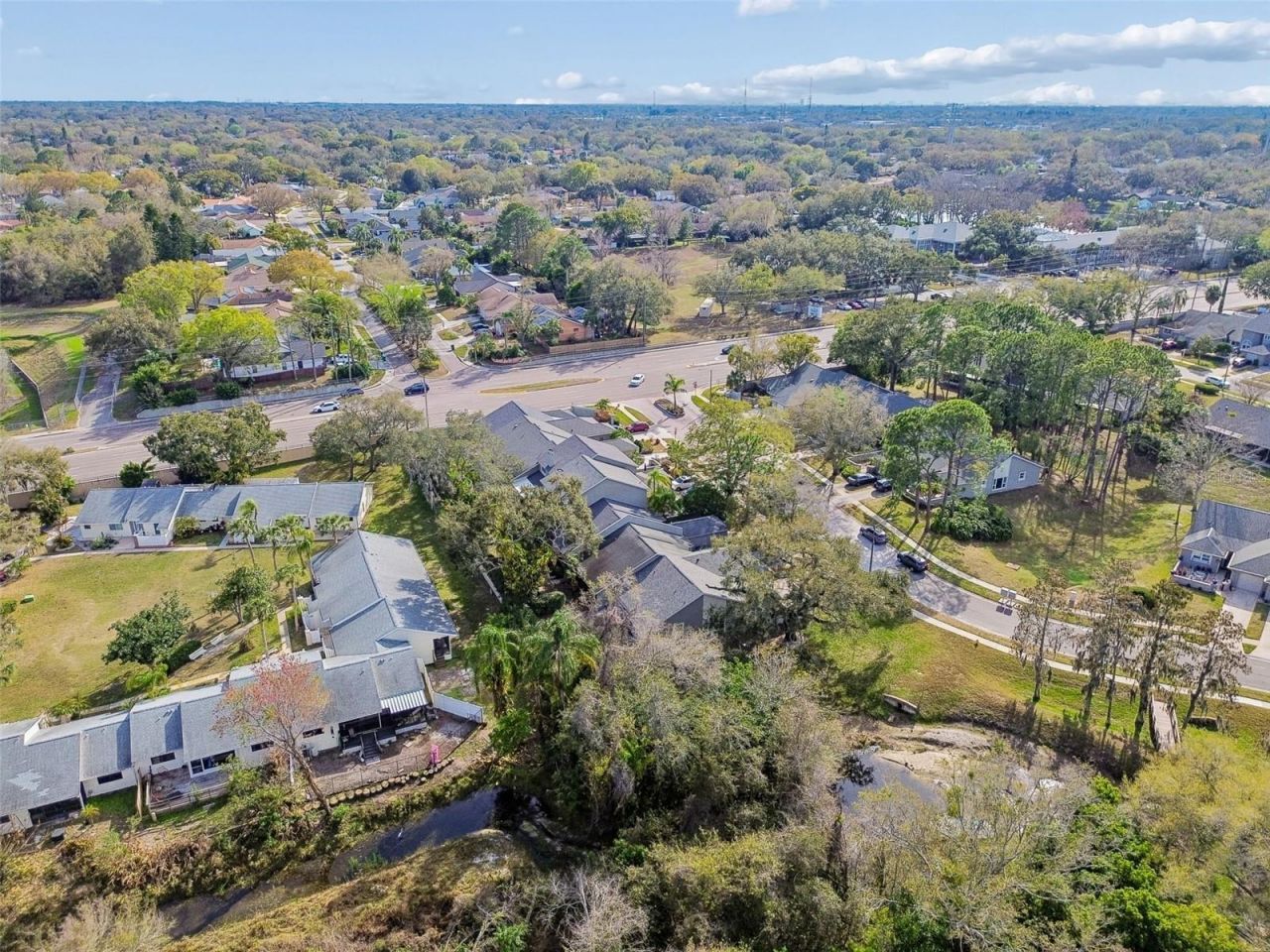 115 Steeplechase Lane, Palm Harbor, FL 34684 Photo