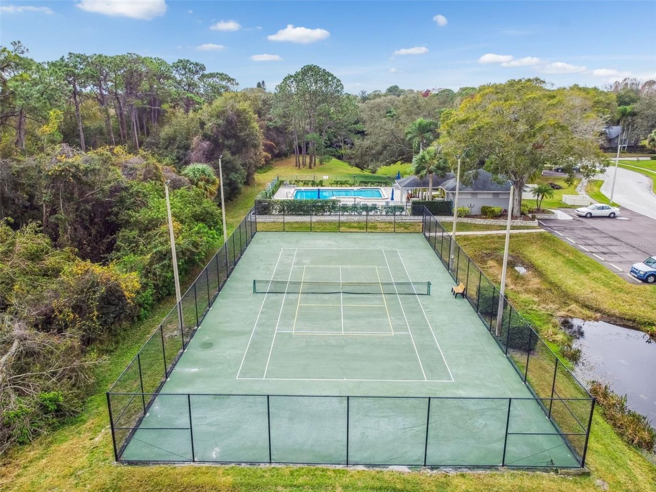 115 Steeplechase Lane, Palm Harbor, FL 34684 Photo