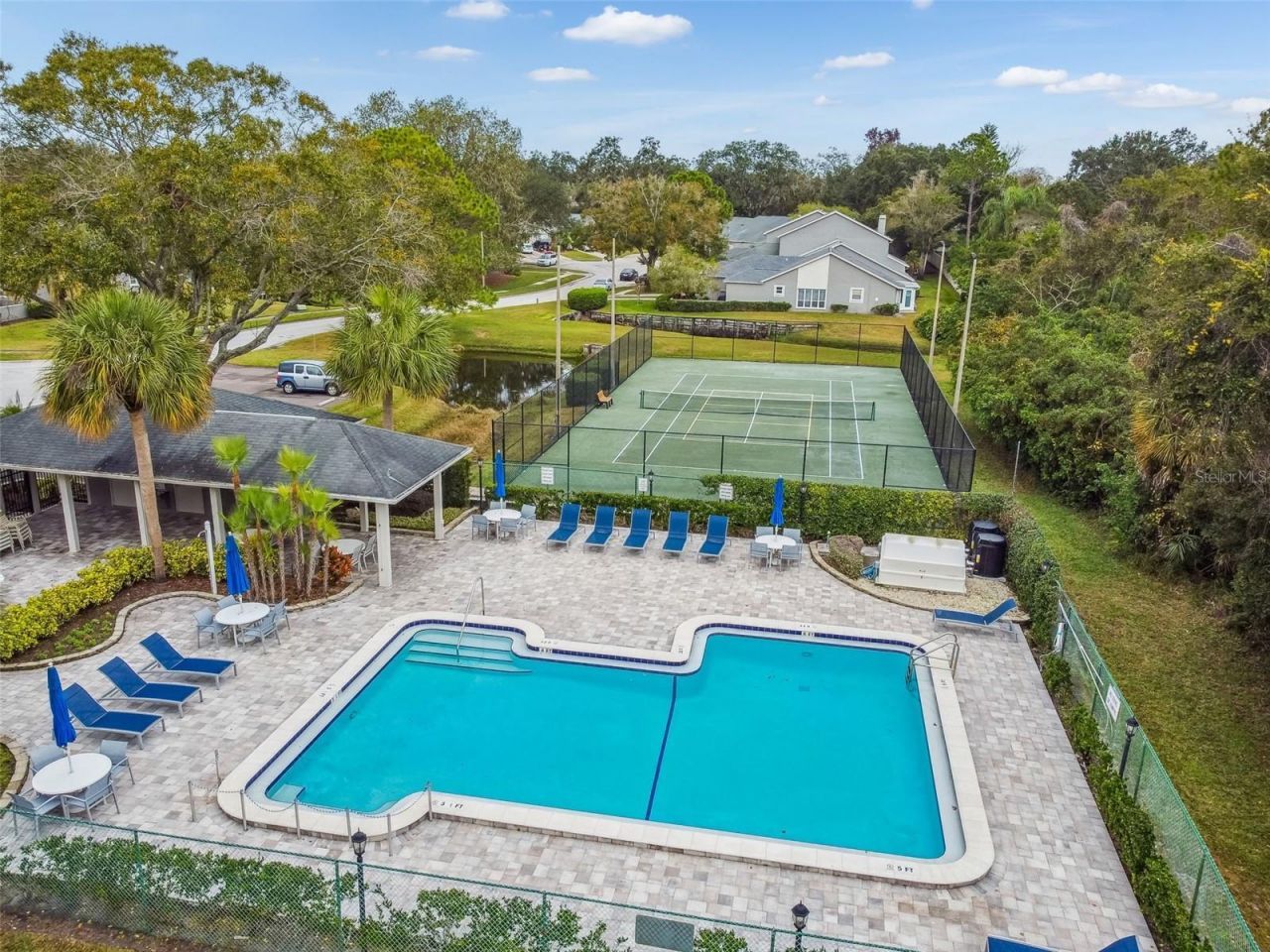 115 Steeplechase Lane, Palm Harbor, FL 34684 Photo