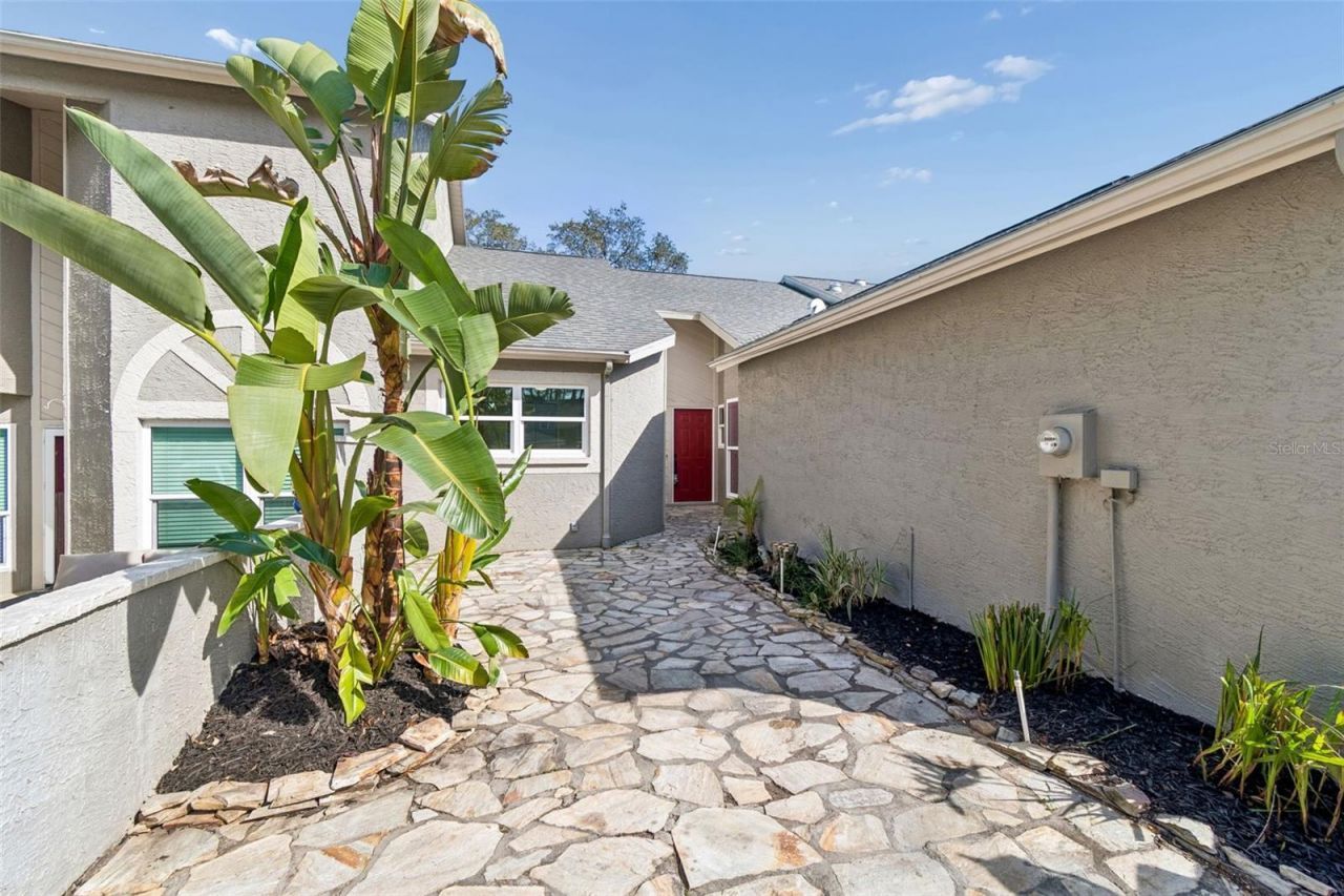 115 Steeplechase Lane, Palm Harbor, FL 34684 Photo