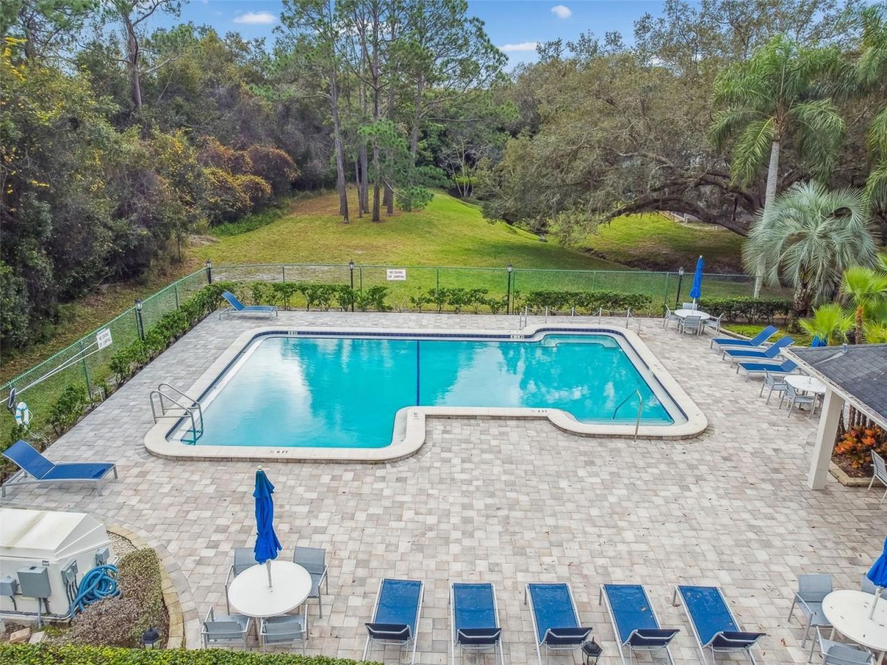 115 Steeplechase Lane, Palm Harbor, FL 34684 Photo
