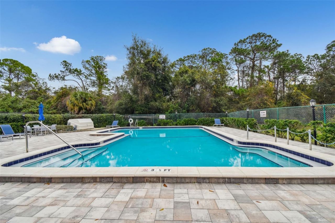 115 Steeplechase Lane, Palm Harbor, FL 34684 Photo