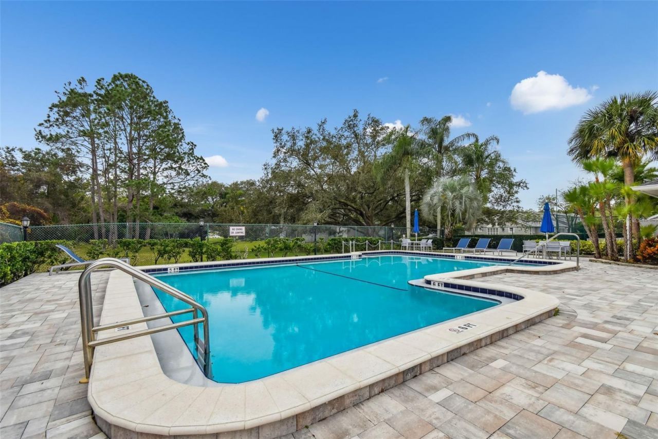 115 Steeplechase Lane, Palm Harbor, FL 34684 Photo