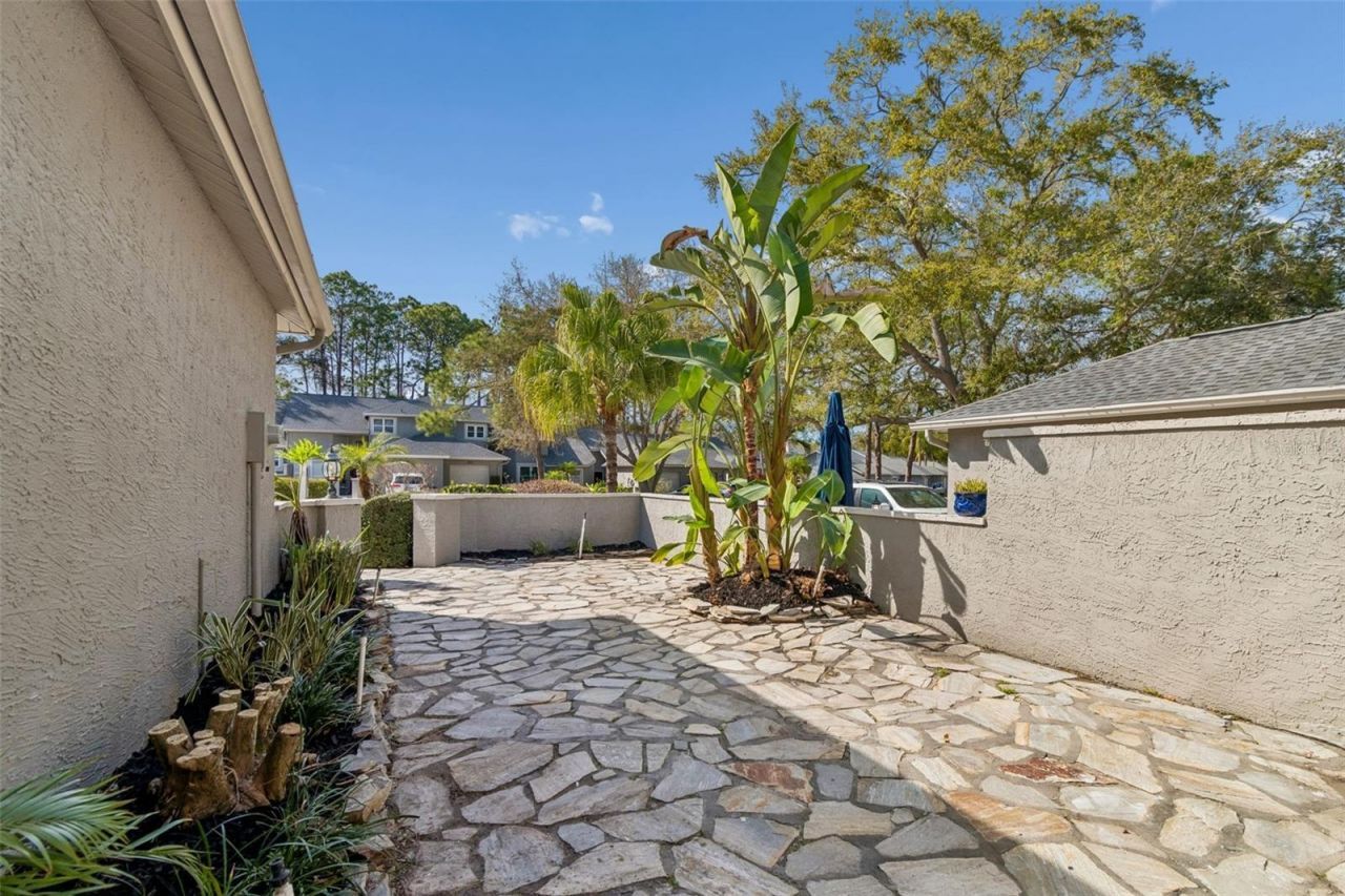 115 Steeplechase Lane, Palm Harbor, FL 34684 Photo