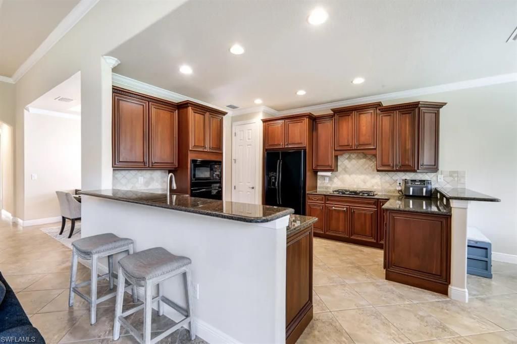 19513 Caladesi Dr, Estero, FL 33967 Photo