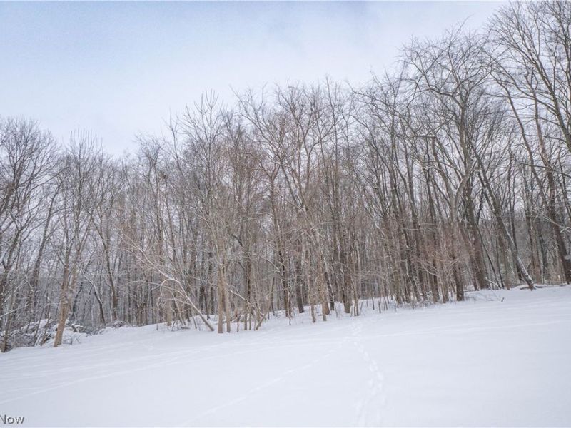 5429 Grove Road, Clinton, OH 44216 Photo 33