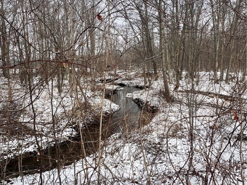 1788 Mills Road, Ashtabula, OH 44004 Photo 13