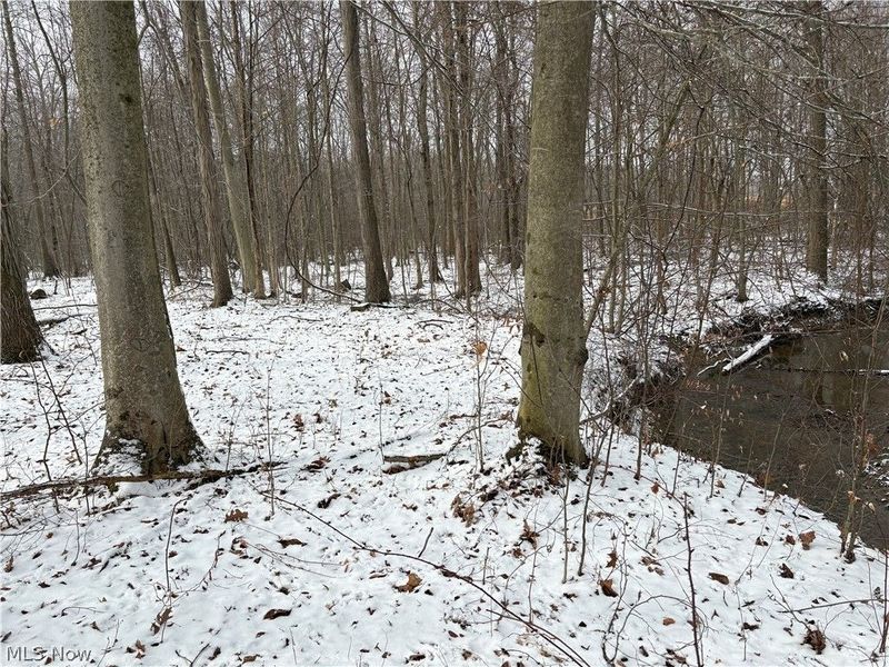 1788 Mills Road, Ashtabula, OH 44004 Photo 15