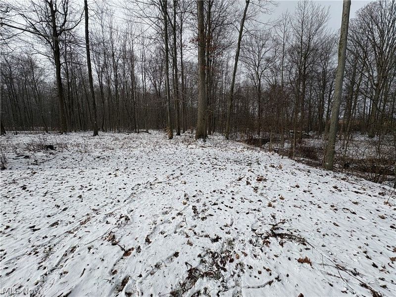 1788 Mills Road, Ashtabula, OH 44004 Photo 16