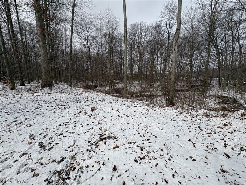 1788 Mills Road, Ashtabula, OH 44004 Photo 17