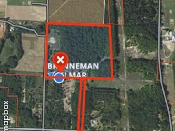 VL55 Nine Mile Road, Kaleva, MI 49645