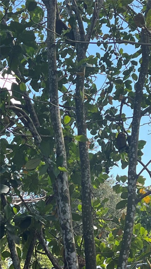 Sw , Miami, FL 33187 Photo