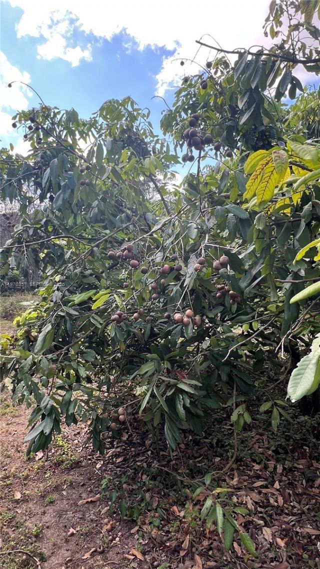 Sw , Miami, FL 33187 Photo