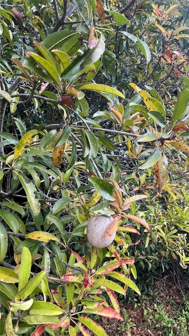 Sw , Miami, FL 33187 Photo