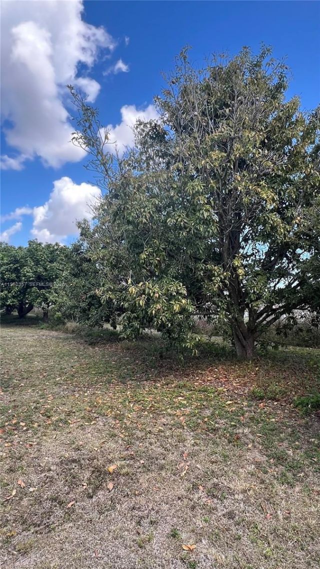 Sw , Miami, FL 33187 Photo