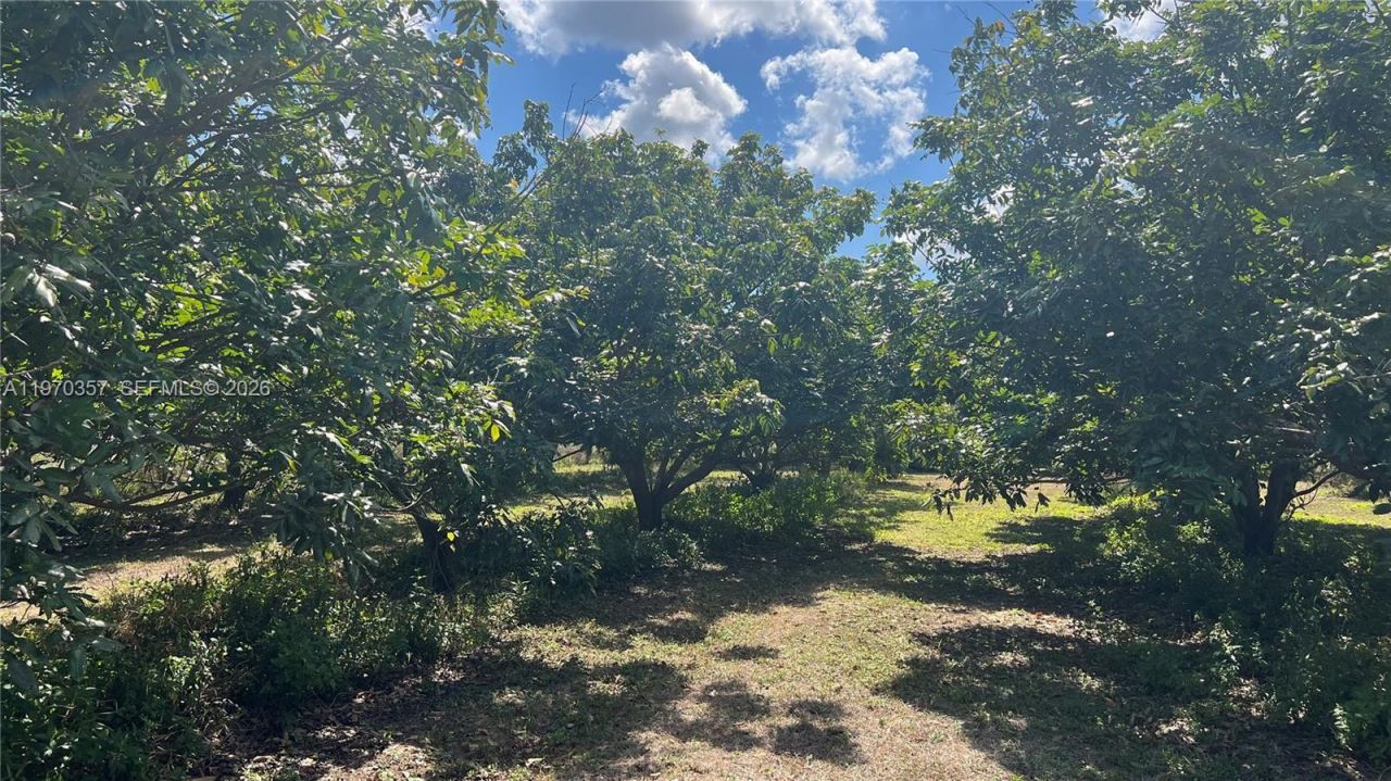 Sw , Miami, FL 33187 Photo