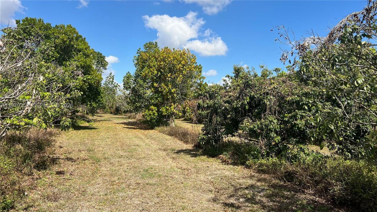 Sw , Miami, FL 33187 Photo