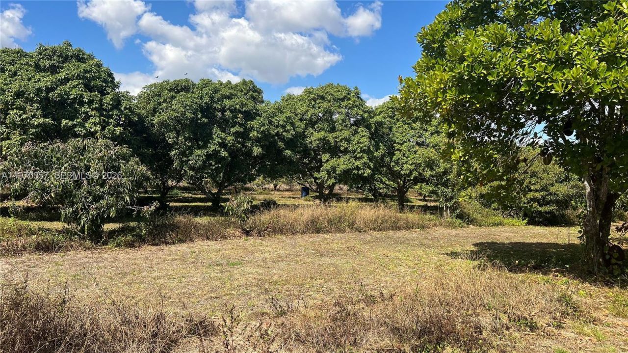 Sw , Miami, FL 33187 Photo