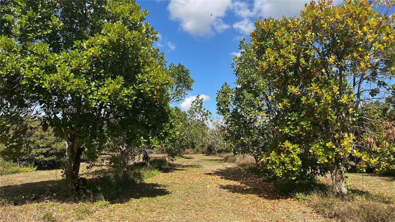 Sw , Miami, FL 33187 Photo