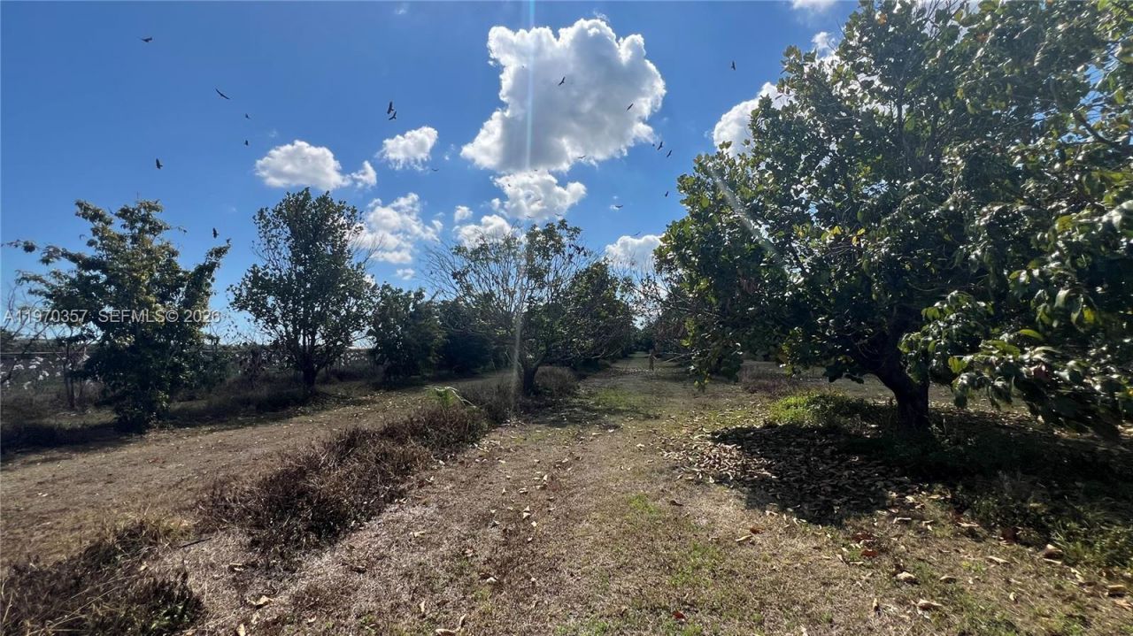 Sw , Miami, FL 33187 Photo