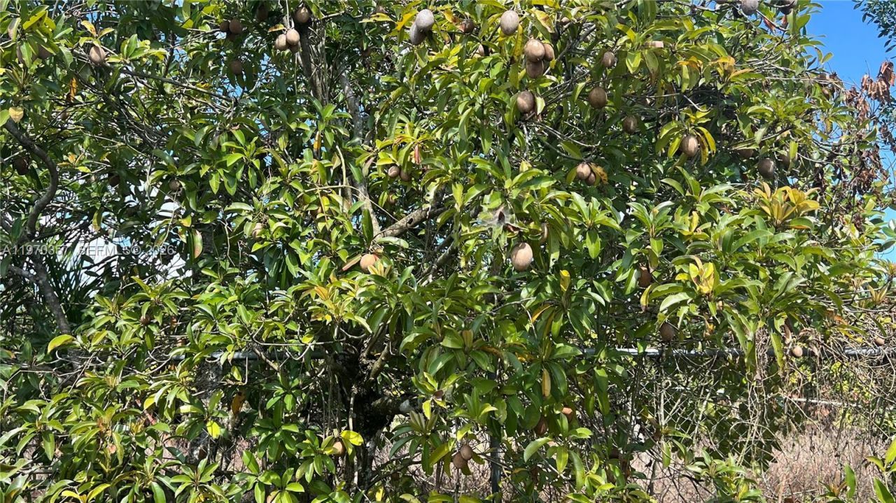 Sw , Miami, FL 33187 Photo