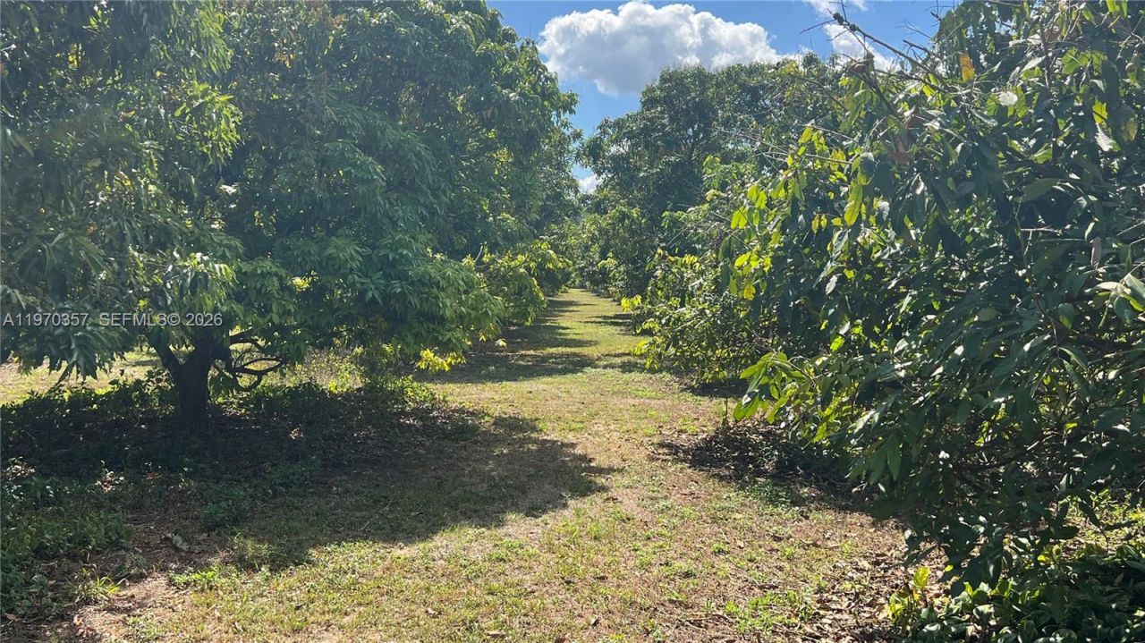 Sw , Miami, FL 33187 Photo