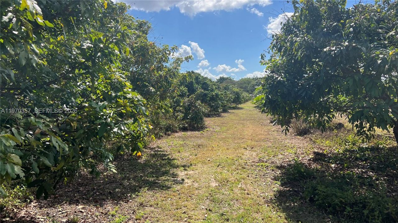 Sw , Miami, FL 33187 Photo