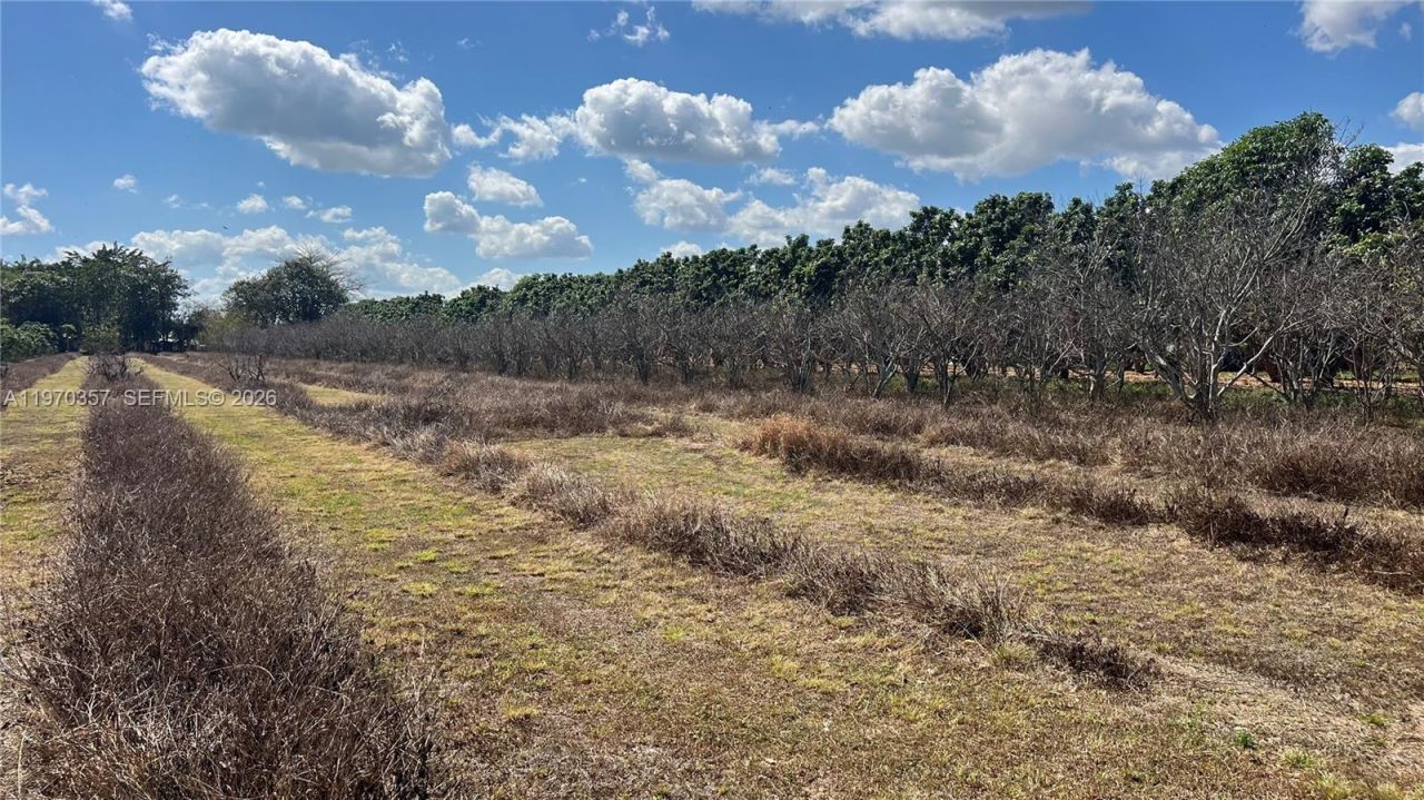 Sw , Miami, FL 33187 Photo