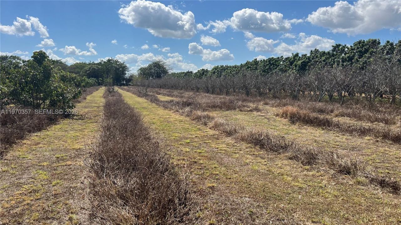 Sw , Miami, FL 33187 Photo